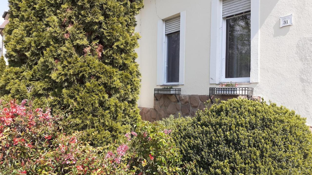 شقة Ekszerdoboz Apartman إغير المظهر الخارجي الصورة